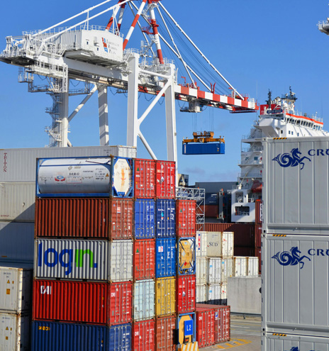 Thai Commodity Export