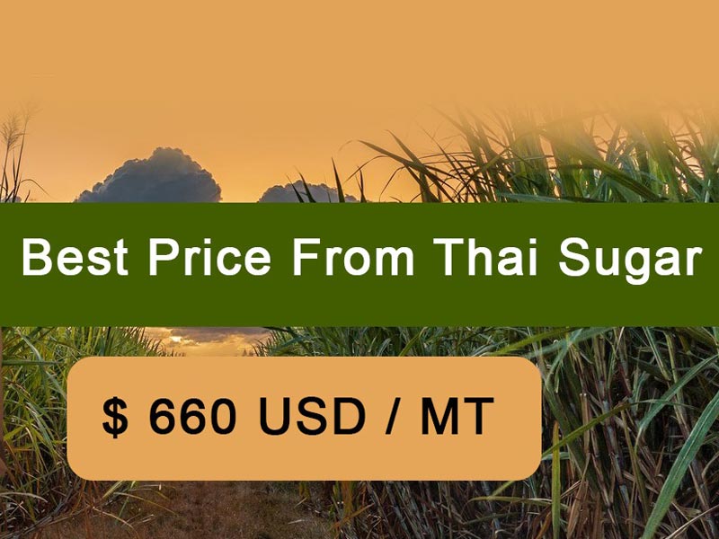 Thai Commodity Export